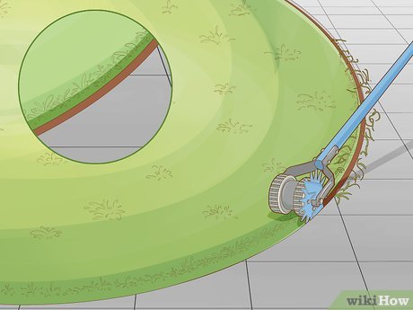 How to Maintain a Garden Picture 11