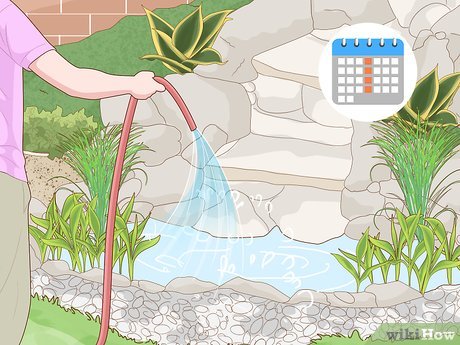 How to Maintain a Garden Picture 19