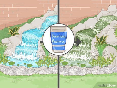 How to Maintain a Garden Picture 21