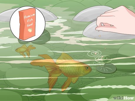 How to Maintain a Garden Picture 22