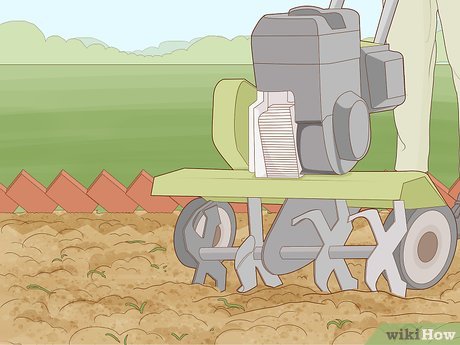 How to Maintain a Garden Picture 8