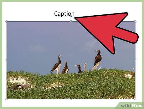 How to Make a Movie Trailer on Windows Movie Maker Picture 6