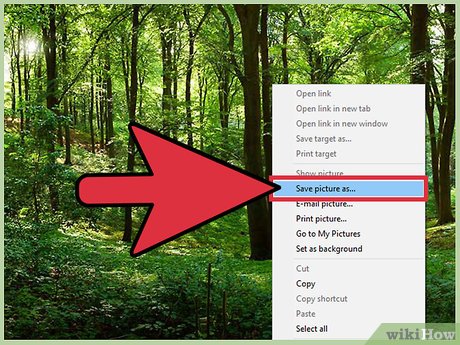 How To Make Any Picture Your Computer's Wallpaper - TipsMake.com