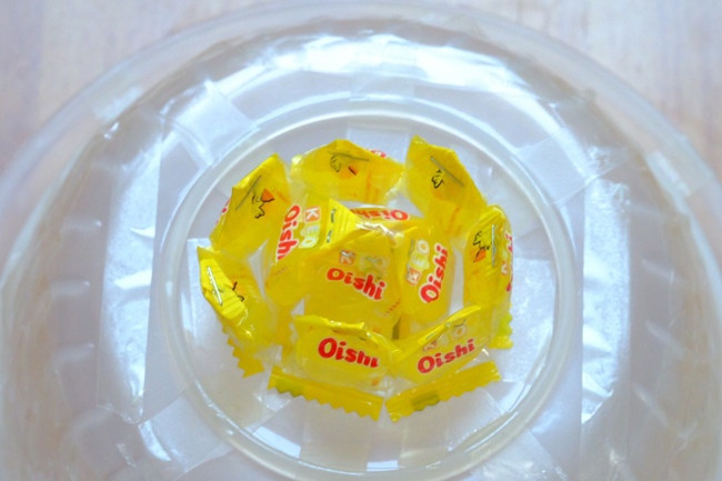 How to make beautiful lotus flowers from Oishi candies displayed on the altar of Tet Picture 4