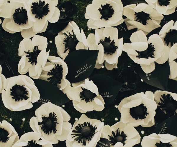 How to make beautiful paper poppy bouquets for October 20 Picture 8