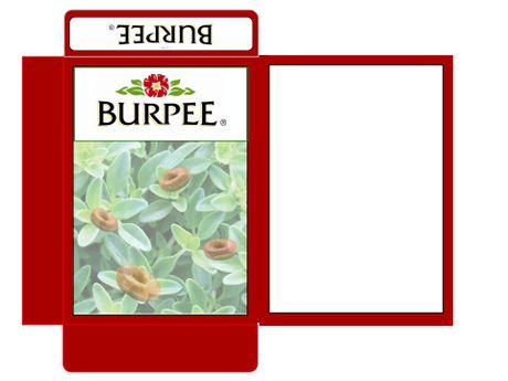 How to Make Doughnut Seeds (Prank) Picture 5