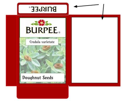 How to Make Doughnut Seeds (Prank) Picture 8