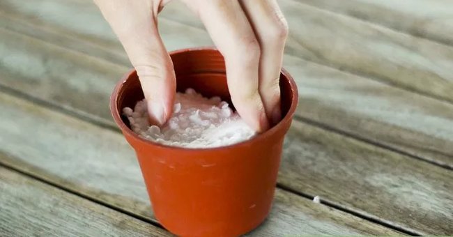 How to make romantic chocolate flower pots for girlfriends on October 20 Picture 4