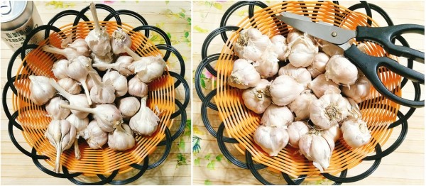 How to make standard black garlic at home is not well known Picture 1