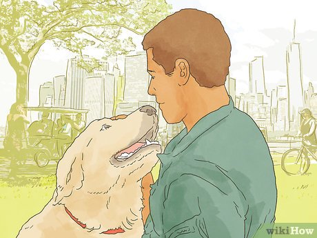 How to Make the World a Better Place Picture 11