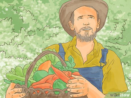 How to Make the World a Better Place Picture 7