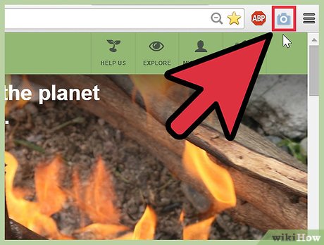 How to Make Website Screenshots Picture 9