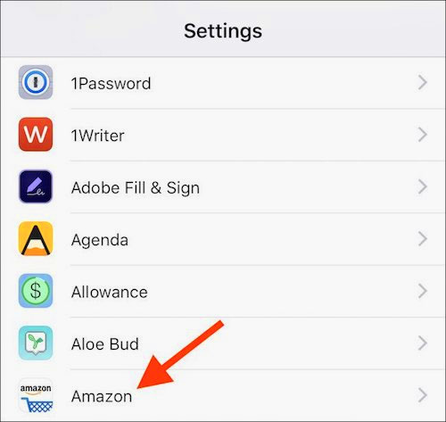 How to manage access to applications with Face ID on iPhone X Picture 4