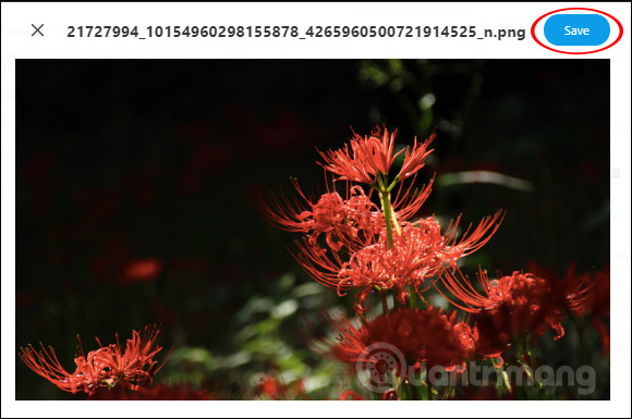 How to manage Gmail email with Twobird Picture 4