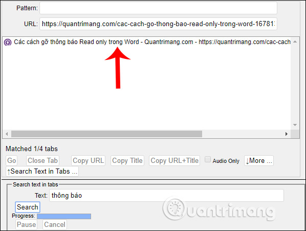 How to manage tabs on Chrome with Tabhunter Picture 9