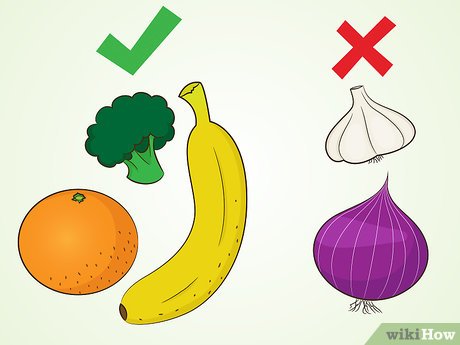 How to Meet Band Members at a Concert Picture 15