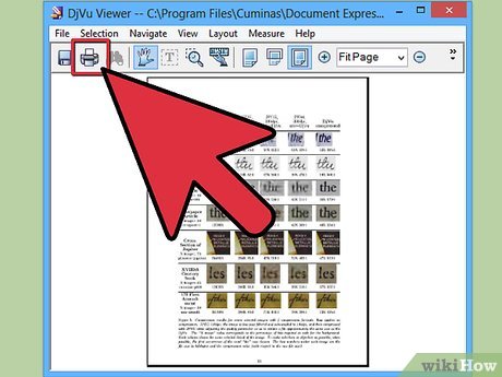 How to Open a Djvu File Picture 8