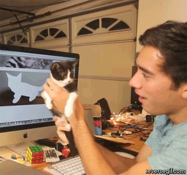 How to optimize photos in SEO Picture 2