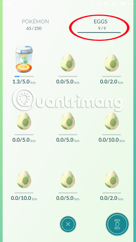 How to own eggs 10 km in Pokemon GO? Picture 2
