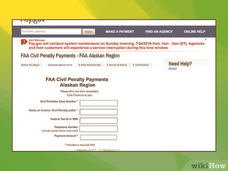 How to Pay Federal Speeding Tickets Picture 4