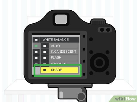 How to Photograph Artwork for a Website Picture 11