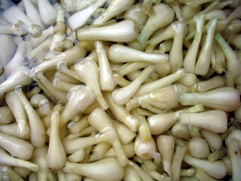 How to pickle and pickle salt, indispensable sweet and sour palanquin on Vietnamese New Year Picture 5