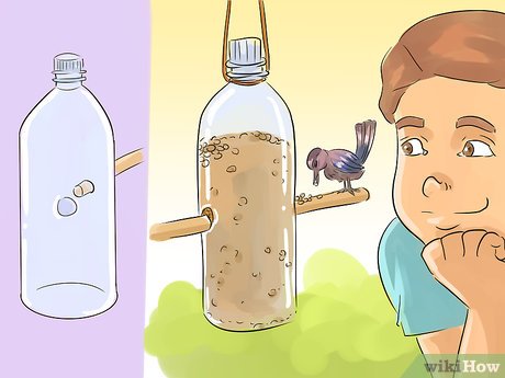 How to Plan a Family Garden Picture 11