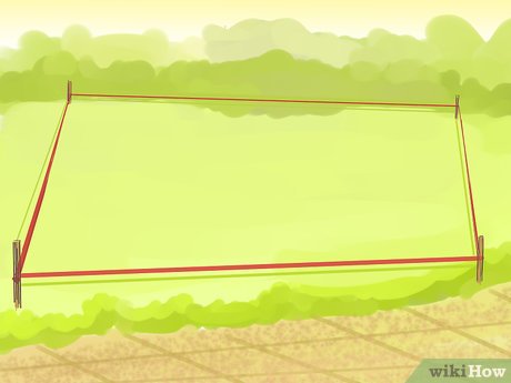 How to Plan a Family Garden Picture 13