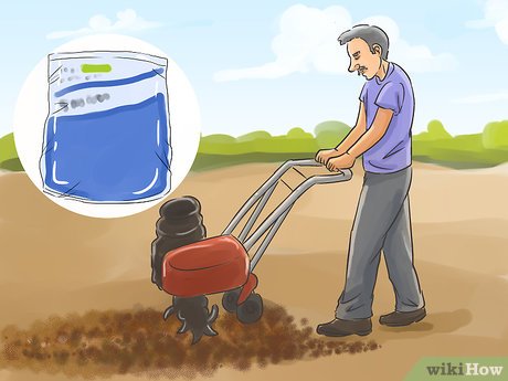 How to Plan a Family Garden Picture 14