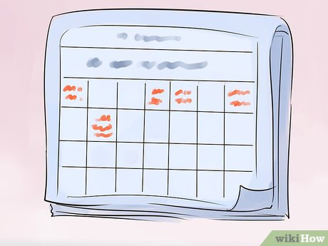 How to Plan a Family Garden Picture 16
