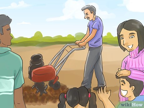 How to Plan a Family Garden Picture 17