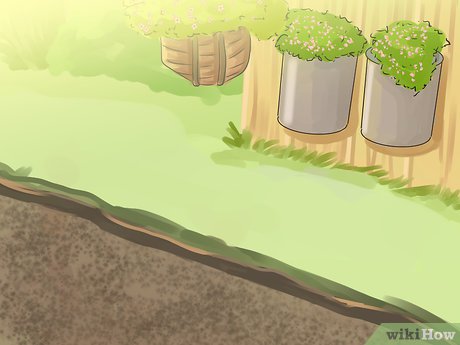 How to Plan a Family Garden Picture 3