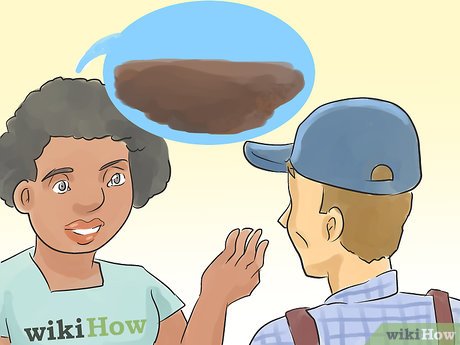 How to Plan a Family Garden Picture 4