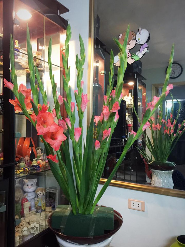 How to plug a vase of flowers to glimpse 'thousand hands' beautiful, playing on Tet Picture 3