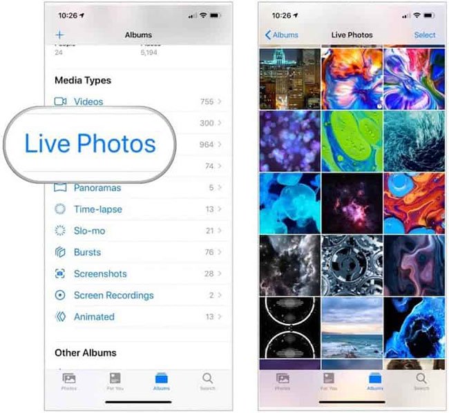 How to post Live Photos from iPhone as GIF on Twitter Picture 1