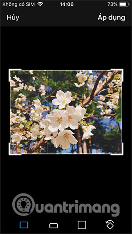 How to post multiple photos on Tweet on Twitter Picture 15