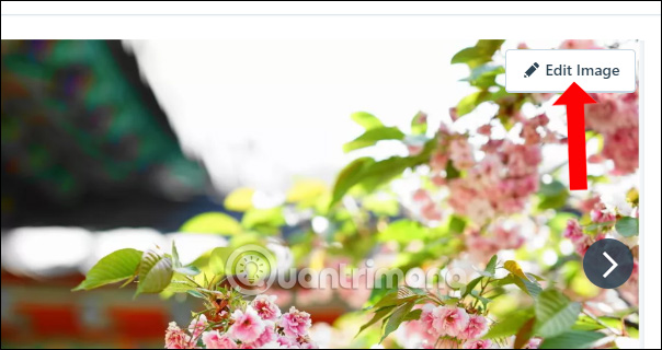 How to post photos and videos in WordPress Picture 5