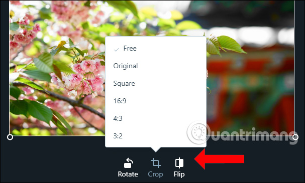 How to post photos and videos in WordPress Picture 6