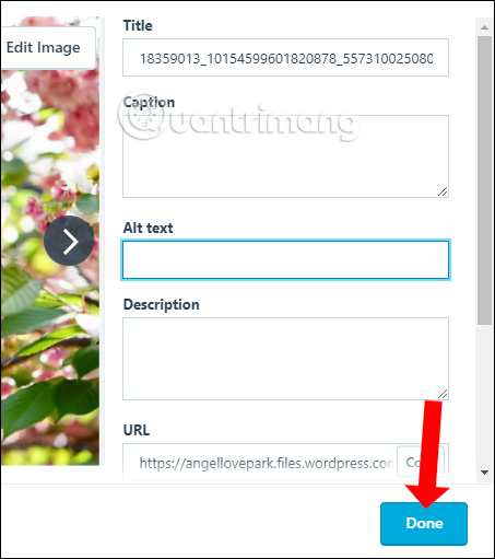 How to post photos and videos in WordPress Picture 7