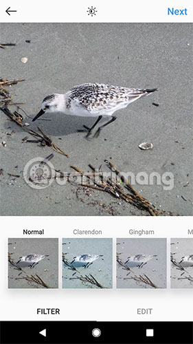 How to post to multiple social networks Picture 2