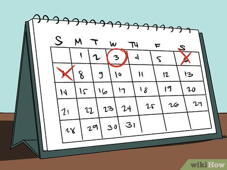 How to Prepare for and Enjoy an Amusement Park Picture 14