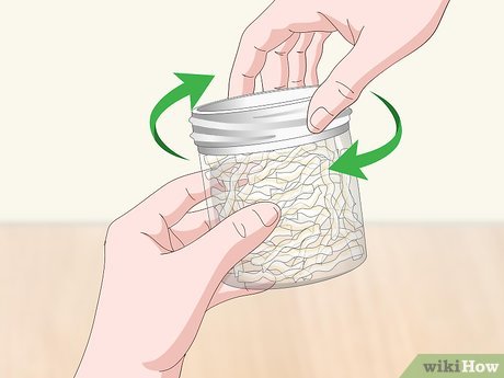 How to Prepare Isinglass Picture 13