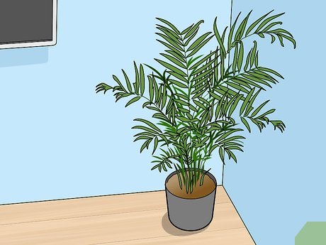 How to Protect a TV from Humidity Picture 8