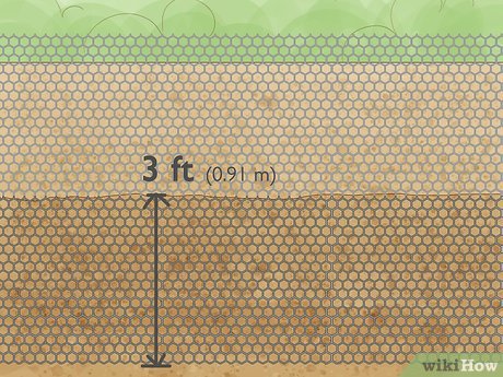 How to Protect Plants Picture 10