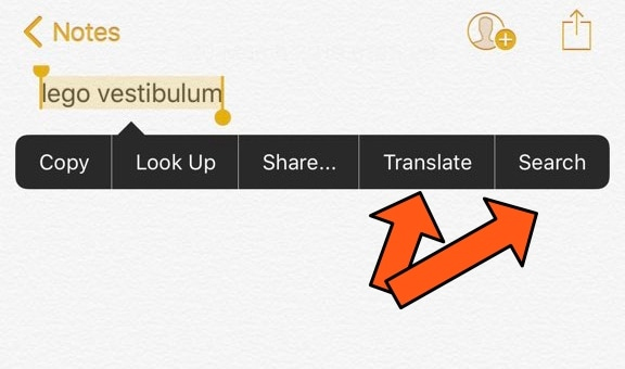 How to quickly translate Vietnamese English on iPhone Picture 2
