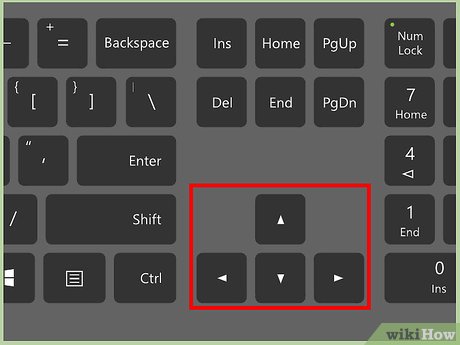 How to Rate Your Images with Stars in Zoner Photo Studio Pro 17 Picture 6