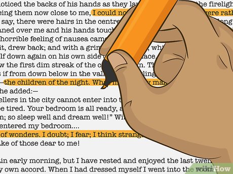 How to Read a Long Chapter Book in Two or Three Hours Picture 6