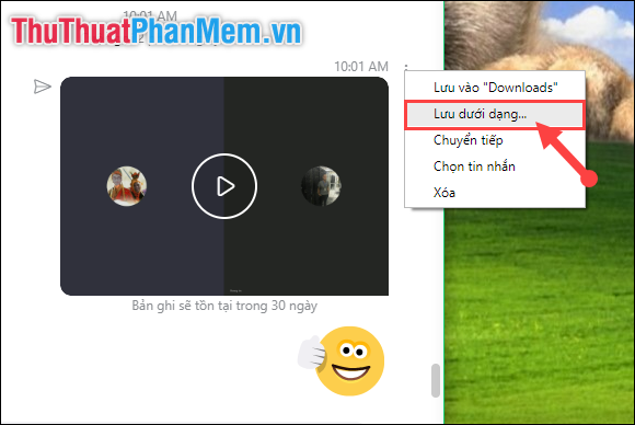 How to record the entire call on Skype Picture 7