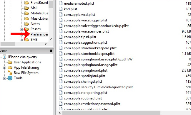 How to recover limited passwords on iPhone without jailbreak Picture 3