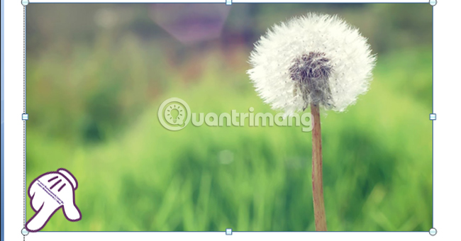 How to reduce image size in Word 2007, 2010, 2013, 2016 Picture 4